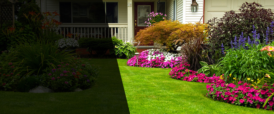 Augusta Landscapers